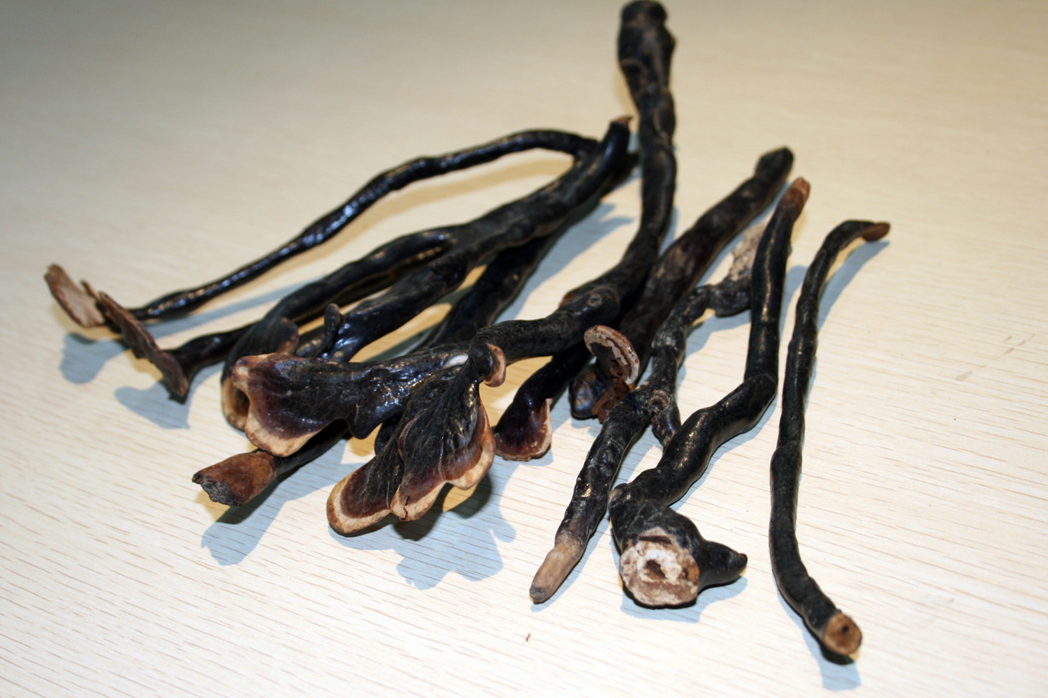 鹿角灵芝