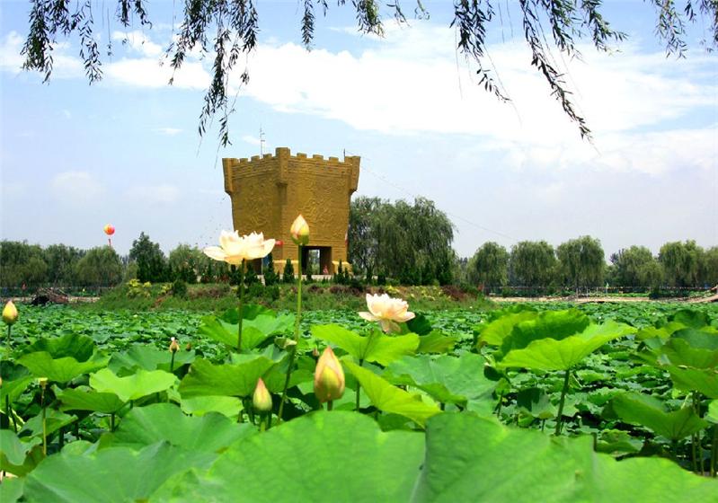 寿光林海生态园