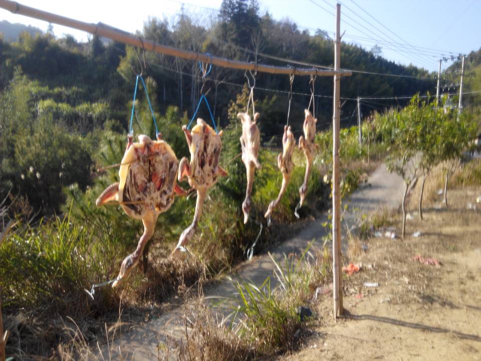 万安风鸭