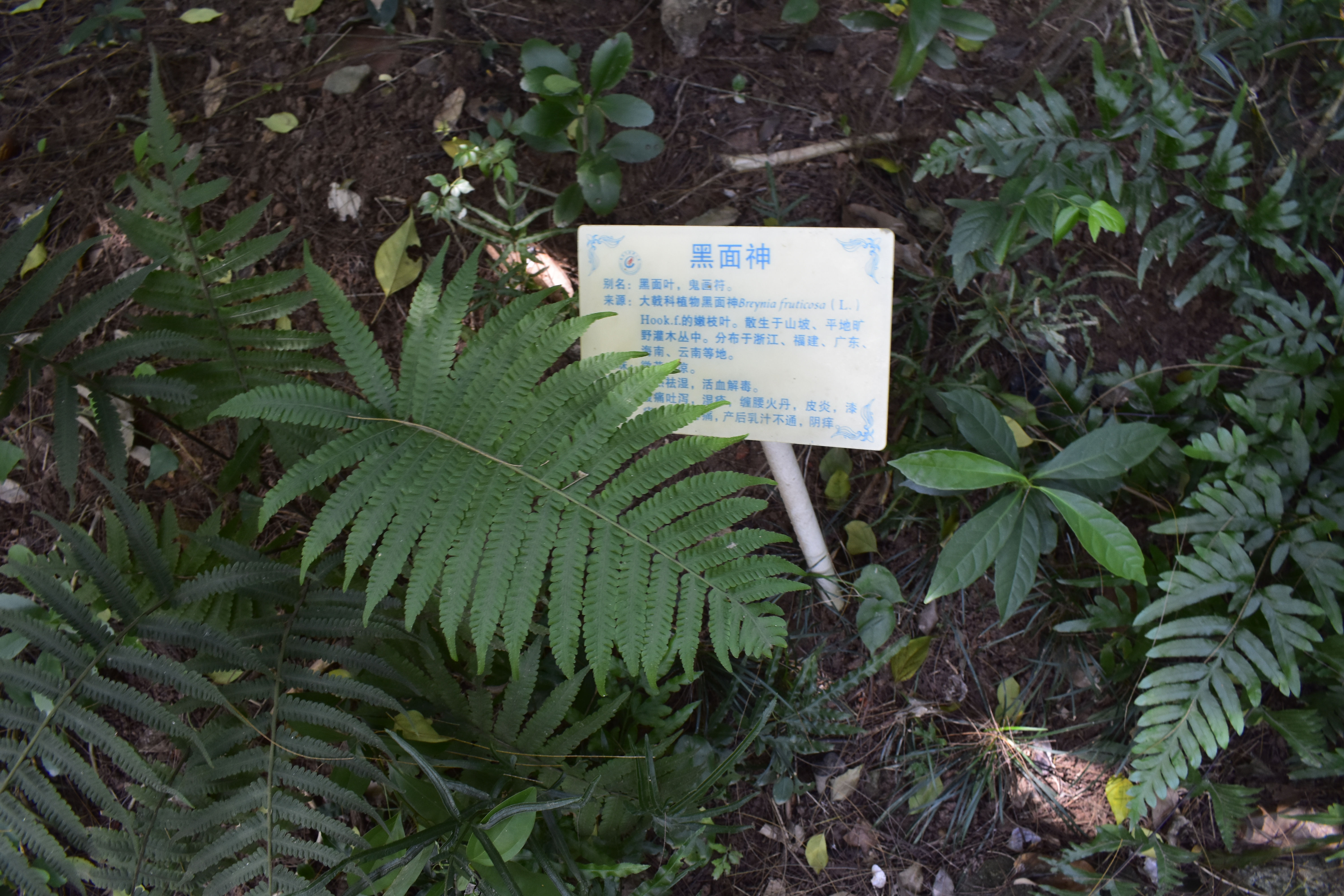 广州中医药大学