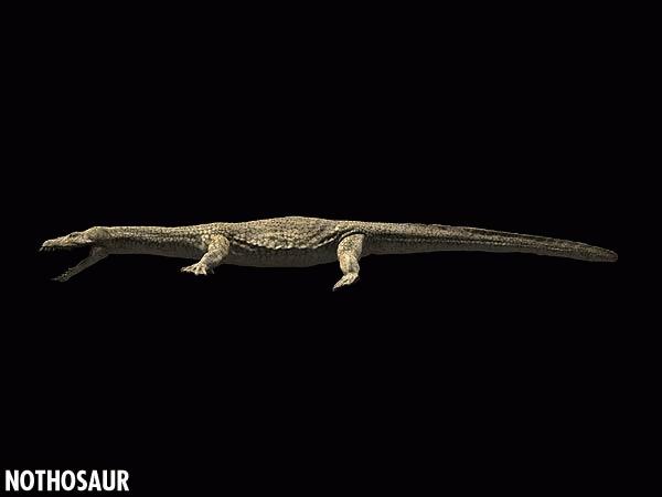  p>幻龙是远古时期 a href="#" data-lemmaid=