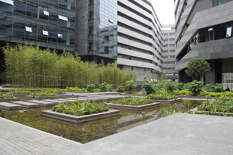 target="_blank" href="/item/东莞市汇峰中心投资管理有限公司