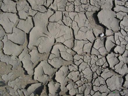泥裂_百度百科