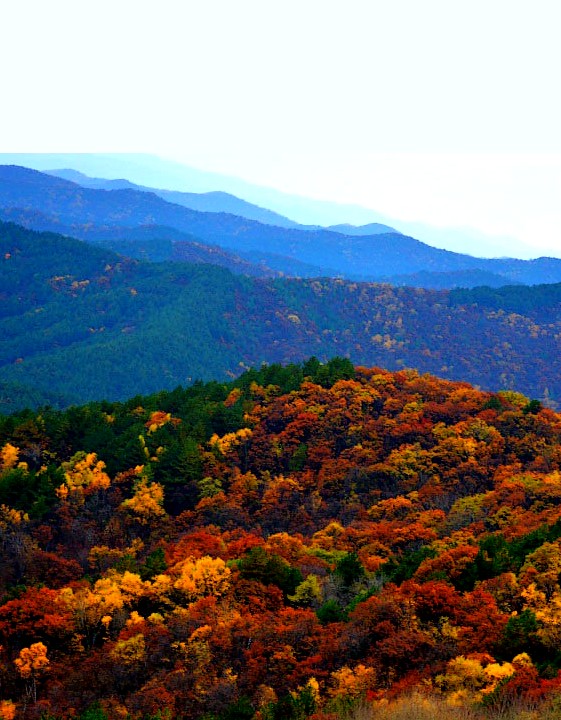即广义的"子午岭",包括横岭,斜梁,老爷岭,青龙山,子午岭(狭义)等山脉