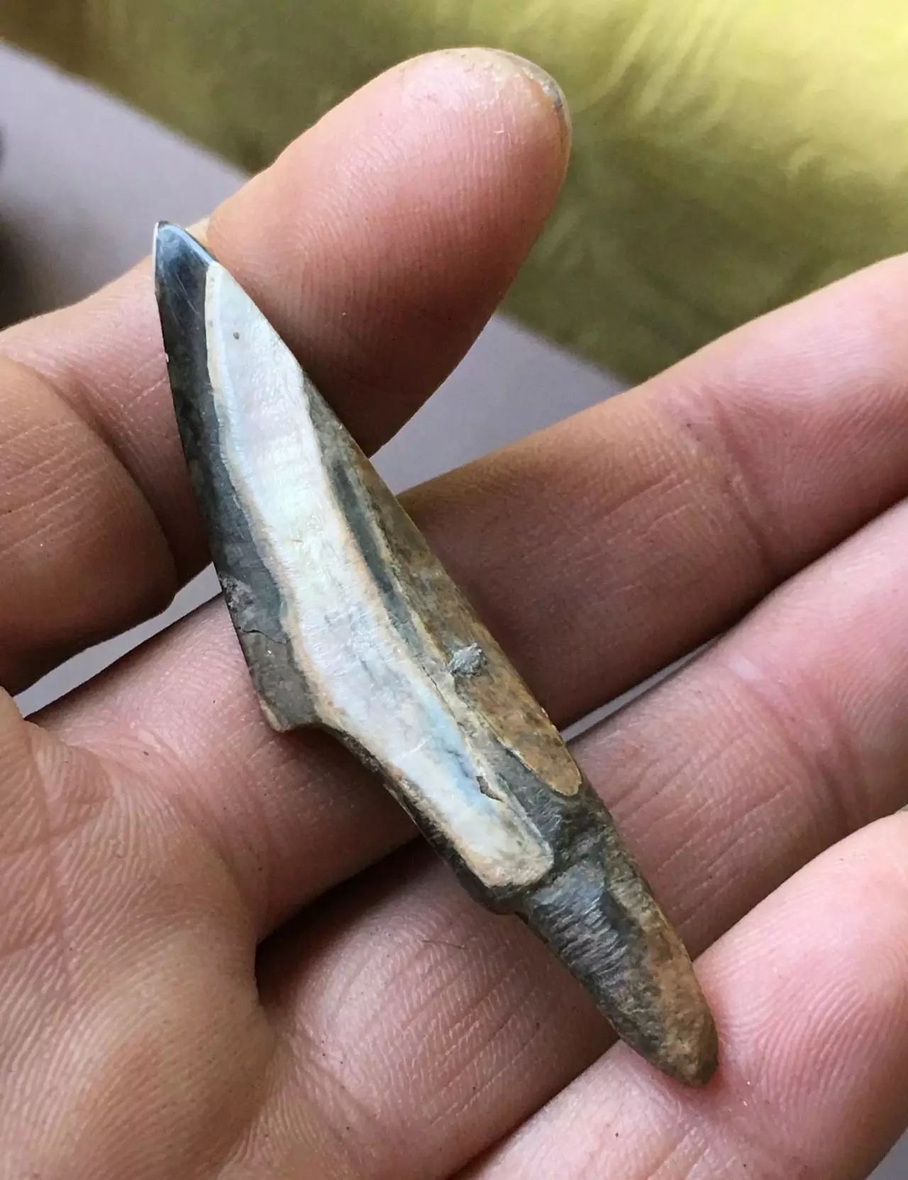 聊聊满族人的祖先肃慎人_百科TA说