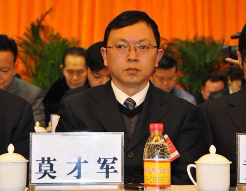 2001年2月至2005年4月任贵州省平塘县委常委,宣传部部长,2005年4月