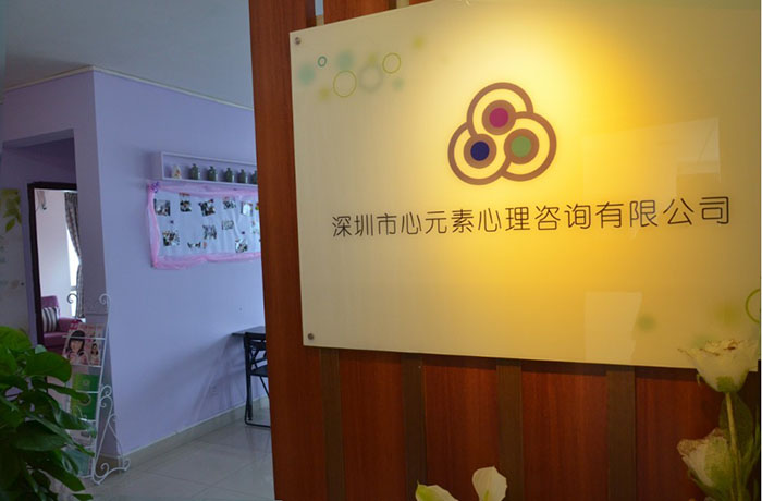 深圳市心元素心理咨询有限公司