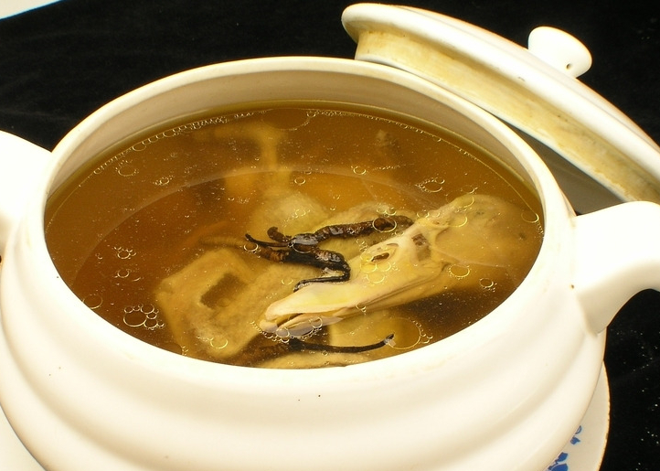 虫草炖全鸭(虫草炖鸭子的禁忌)