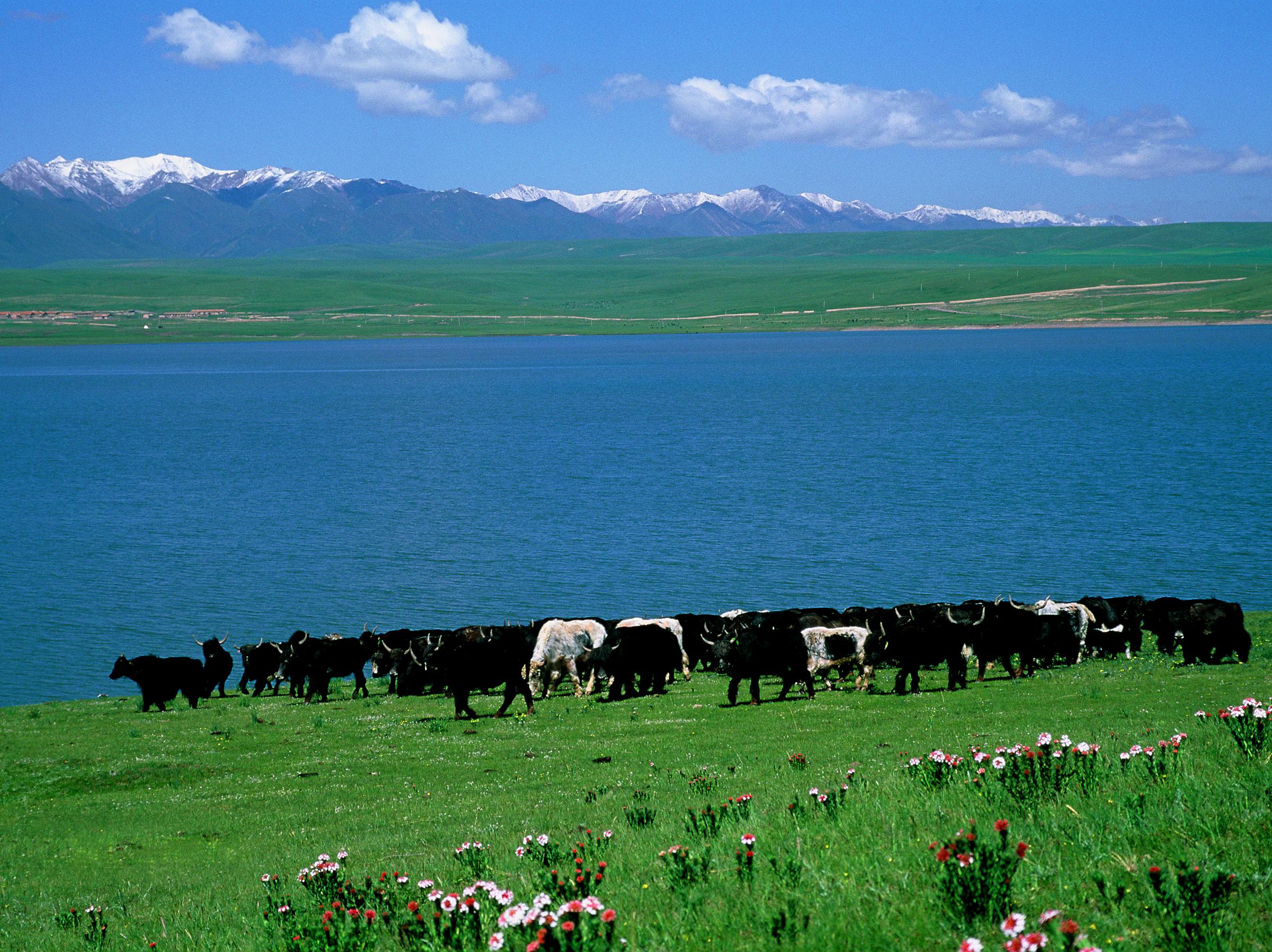  p>山丹军马场于公元前121年由西汉 a target="_blank" href="/item