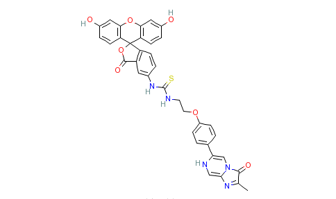 3,7-二氢-6-[4-[2-[n-(5-荧光素)硫脲基]乙氧基]苯基]-2-甲基咪唑[1.