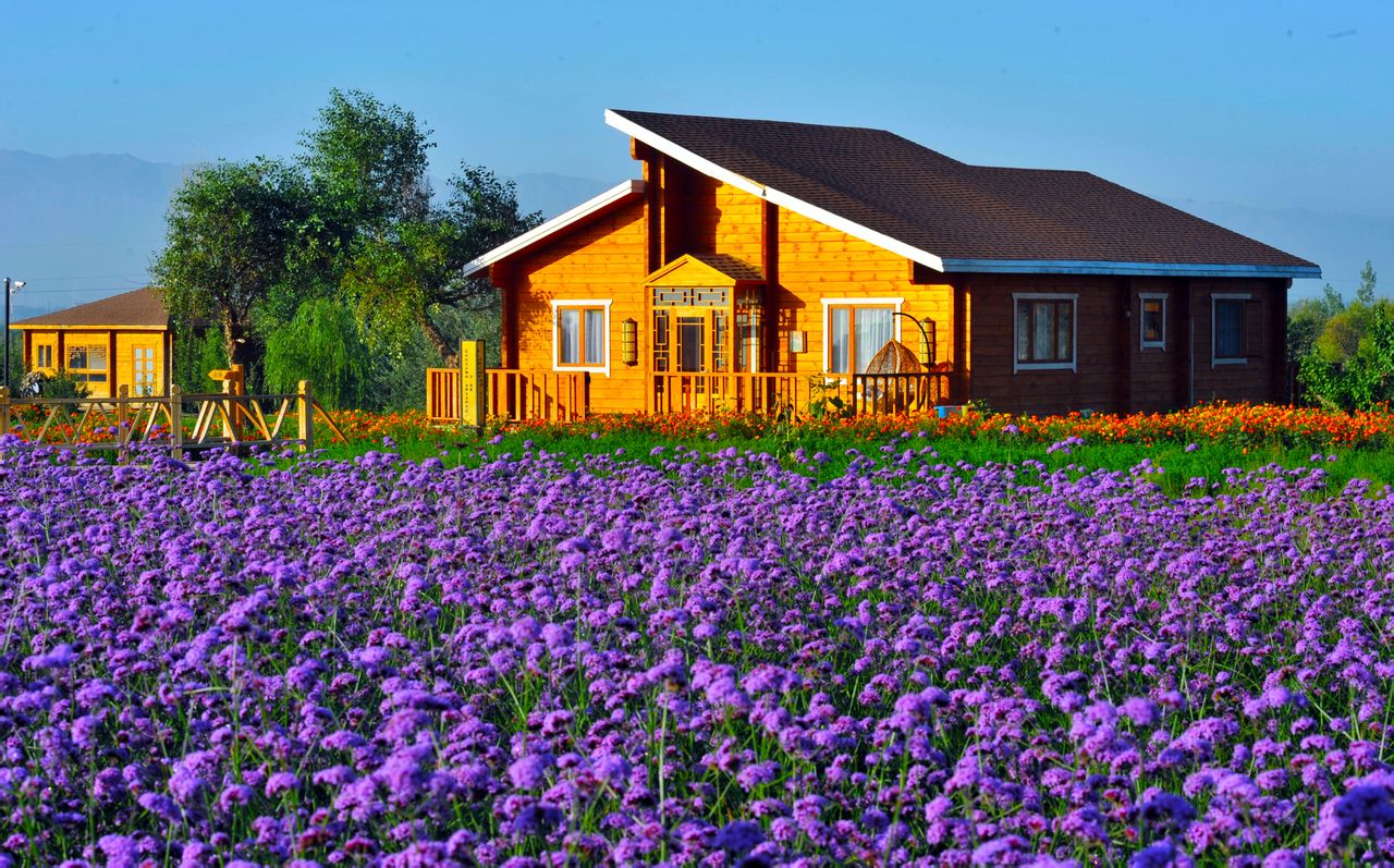 宁夏中卫金沙岛