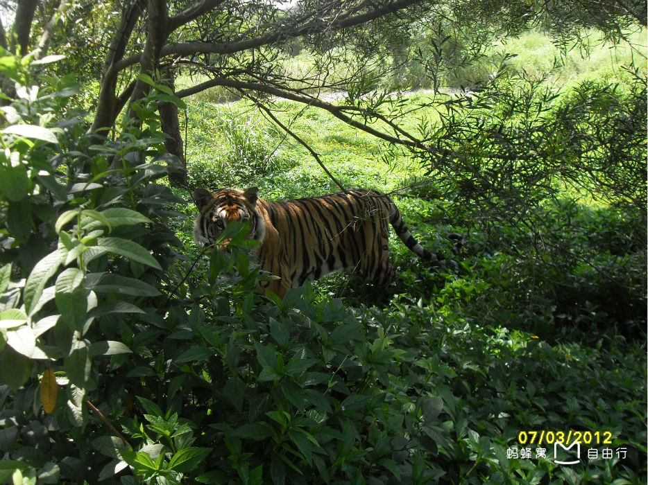 厦门海沧动物园