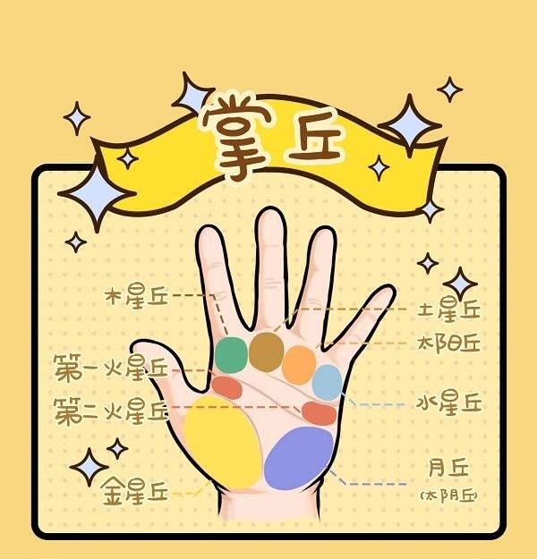  p data-id="gnwvva70eg">掌丘是在手掌上凸出或隆起的肉垫,称为丘或