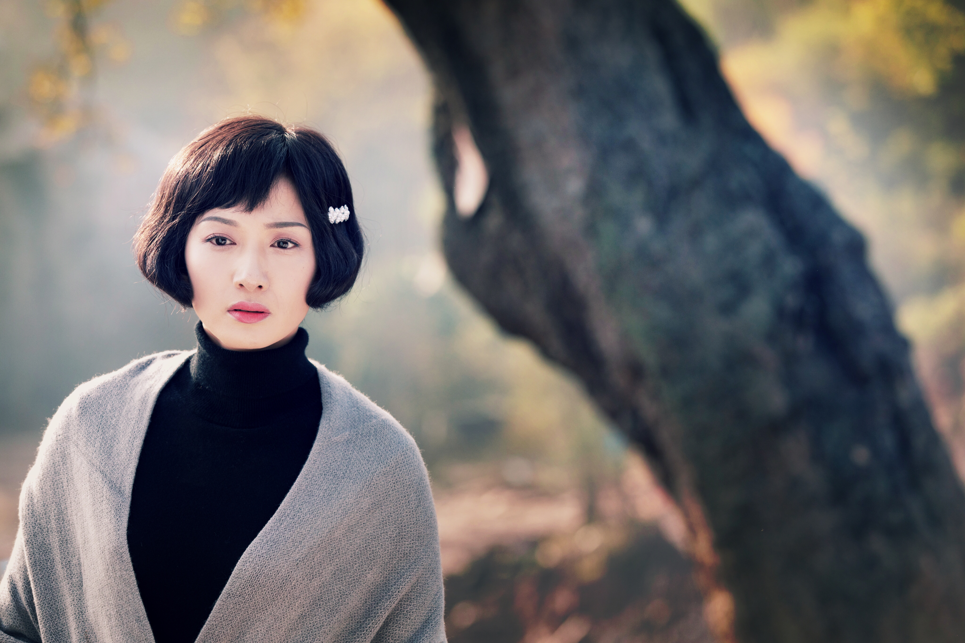 ">徐僧 /a>, a href="#" data-lemmaid="63826">冯文娟 /a>领衔主演