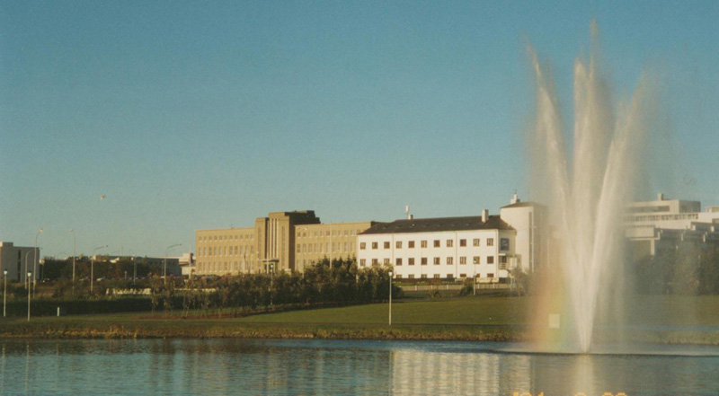 冰岛大学