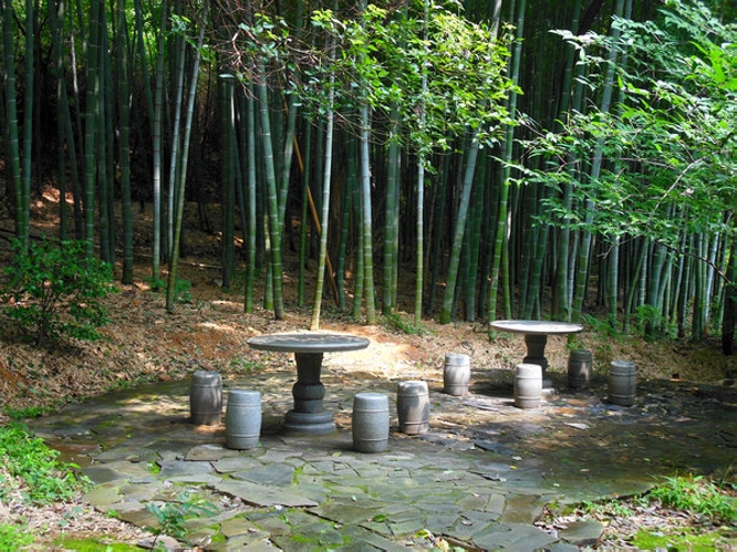 ferrocalamus strictus hsueh et keng f.