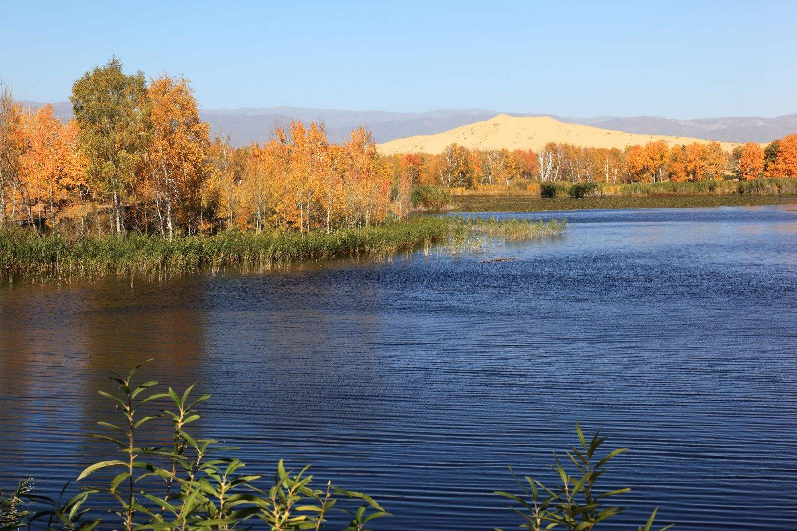 新疆生产建设兵团第十师白沙湖景区