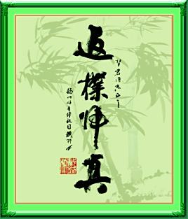 返璞归真
