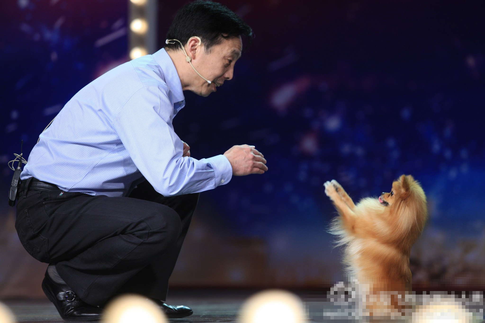 1224127" data-lemmaid="1224127">东方卫视 /a>推出的综艺选秀节目