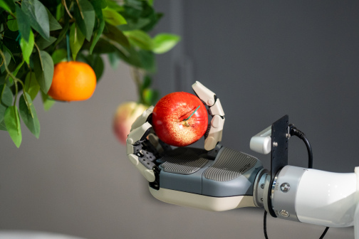DexRobot_百度百科