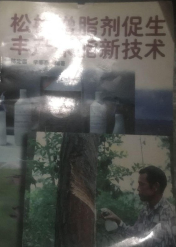 松树增脂剂促生丰产采脂新技术