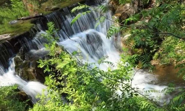 河南燕子山国家森林公园