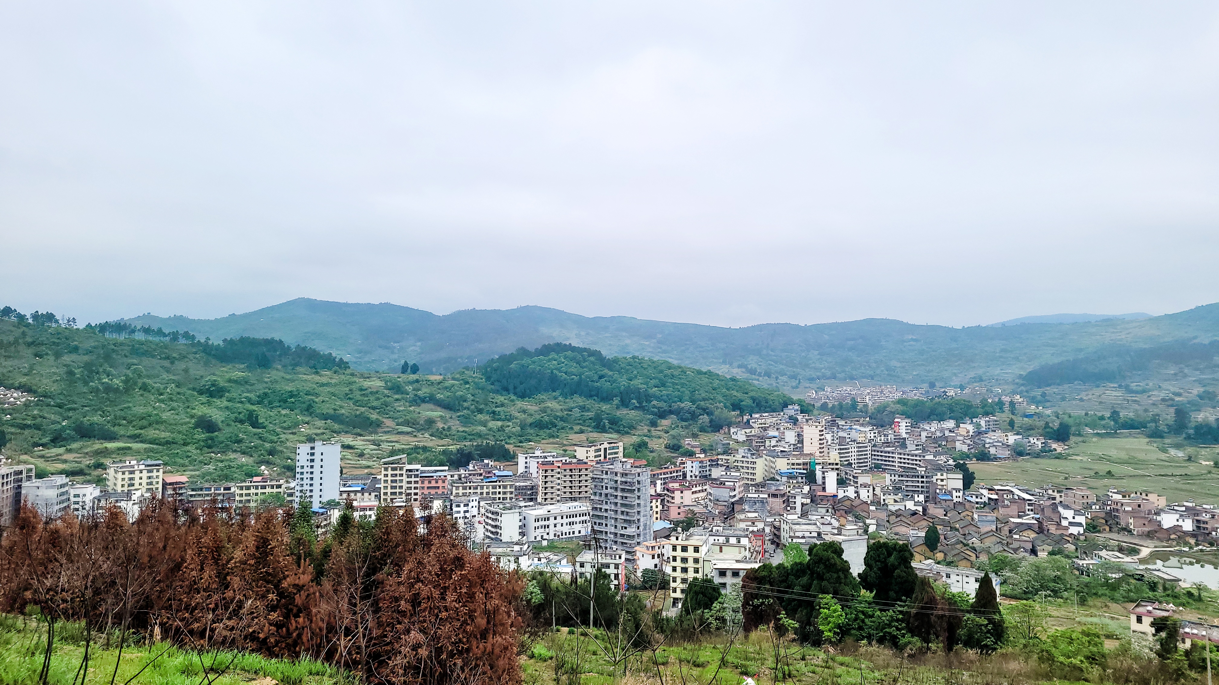 class="ref" data-ctrid="suhgxocfum1s">黄圃镇,广东省韶关市乐昌市