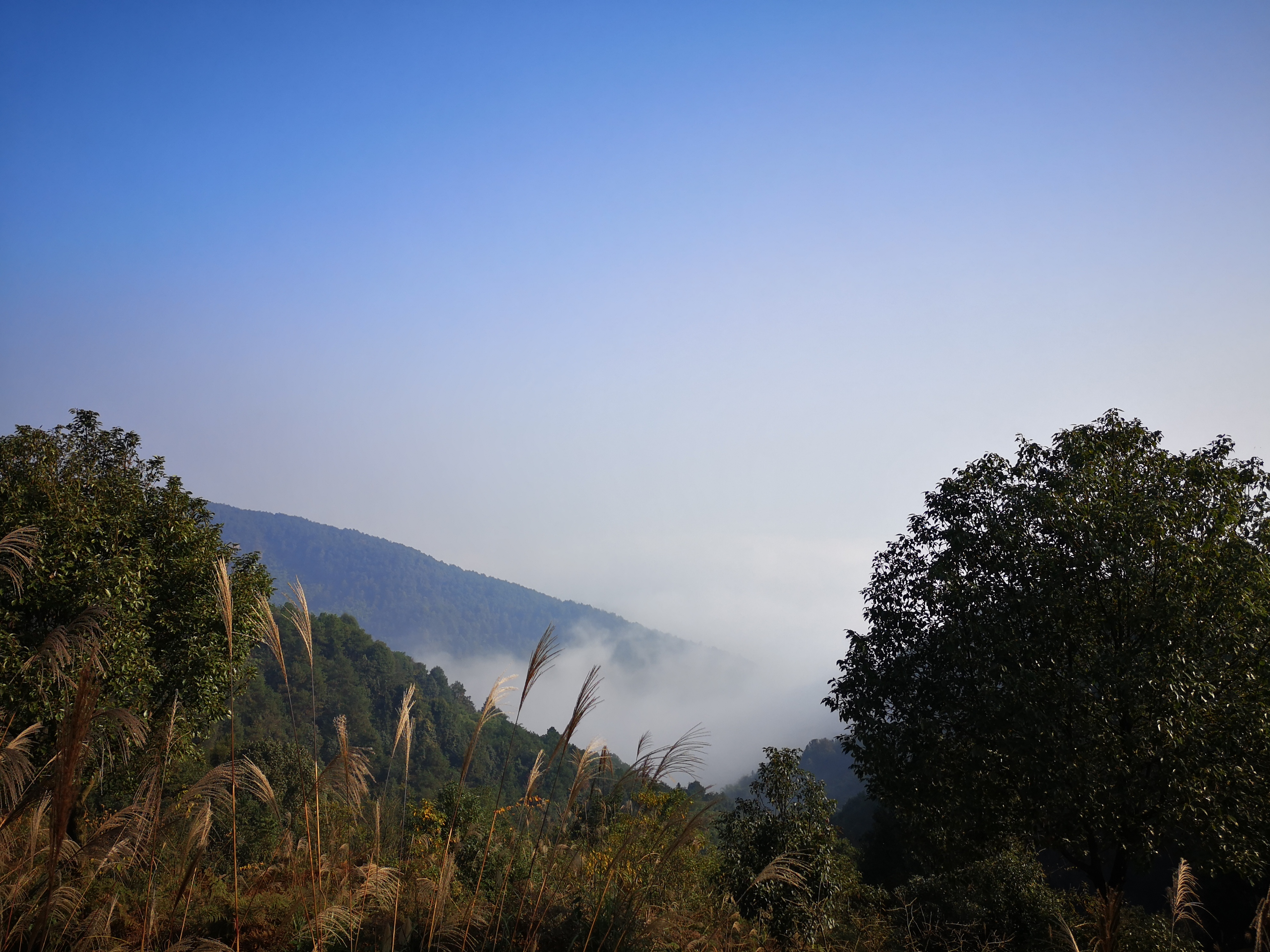  p>苓茏苑,又叫西山坪农业公园,位于重庆市北碚区西山坪,交通便利,距