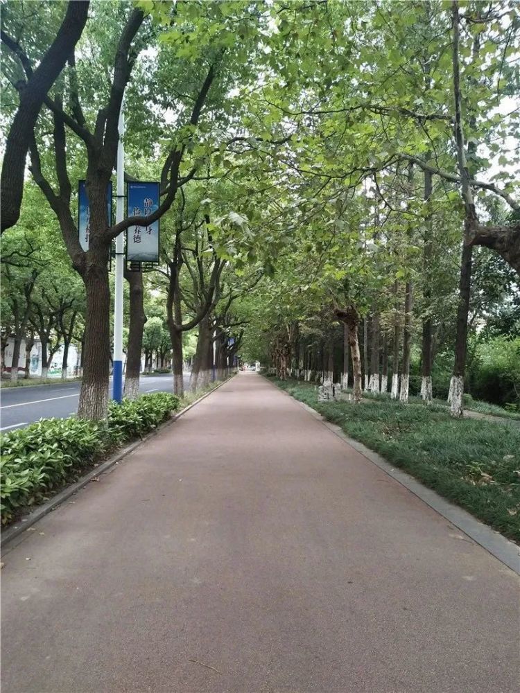  p>园林路位于宁海县梅林街道,南北走向.