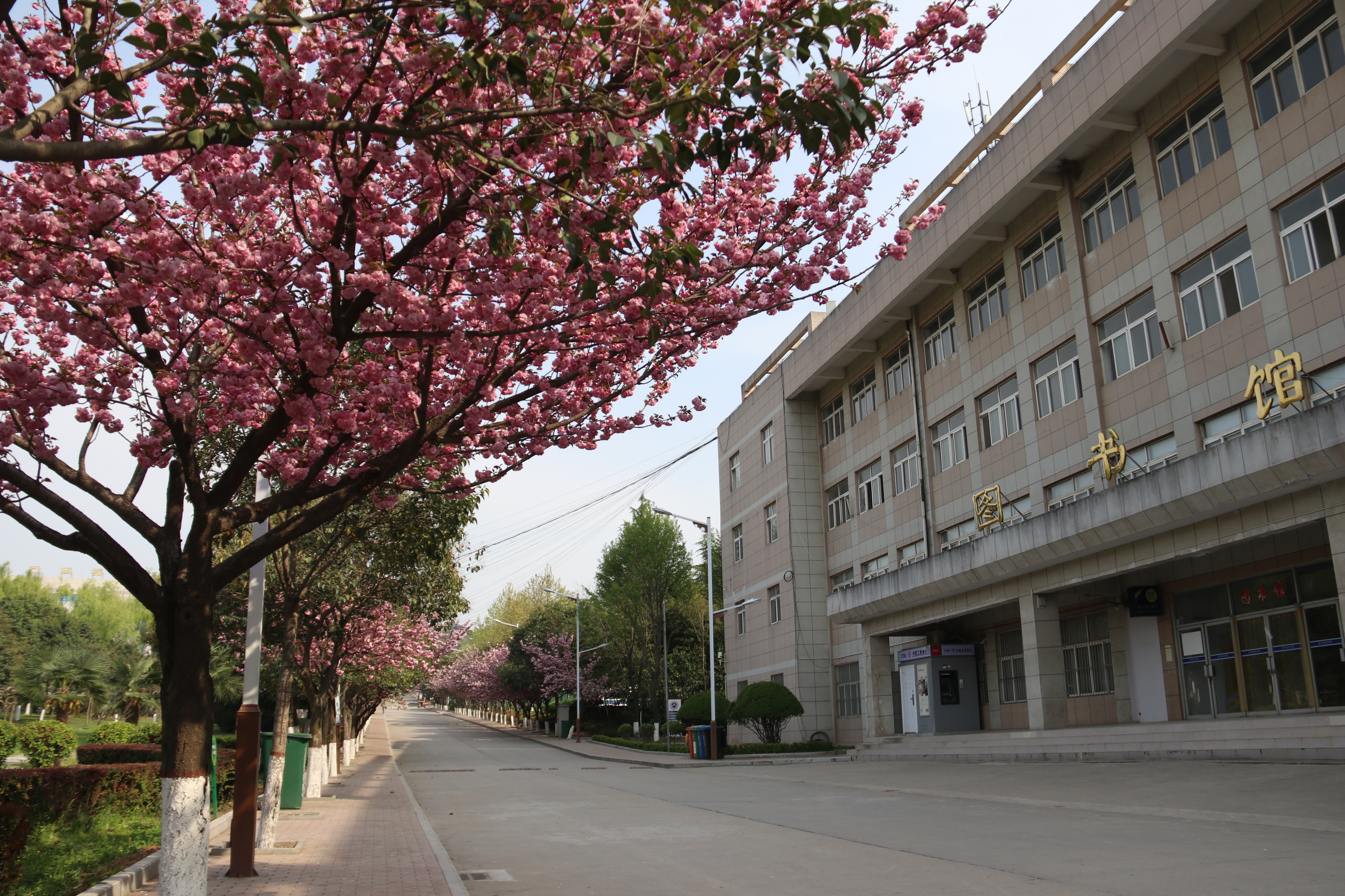 西安铁道技师学院可以专升本吗(西安铁道技师学院可以专升本吗?