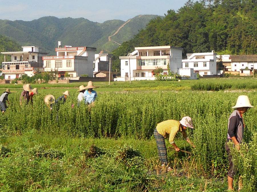 石芫乡,隶属江西省赣州市 a target="_blank" href="/item/赣县区