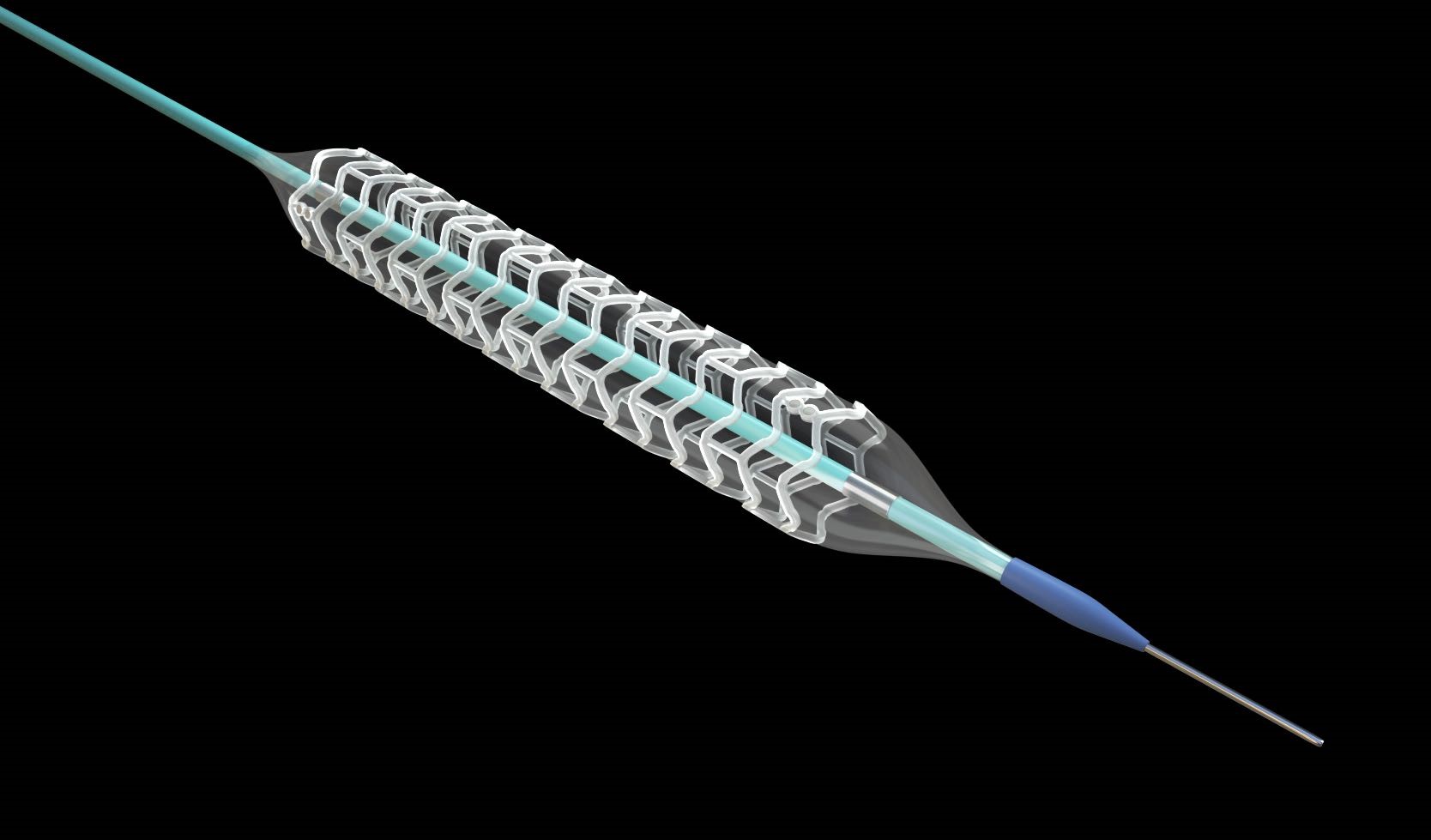 生物可吸收冠状动脉雷帕霉素洗脱支架系统