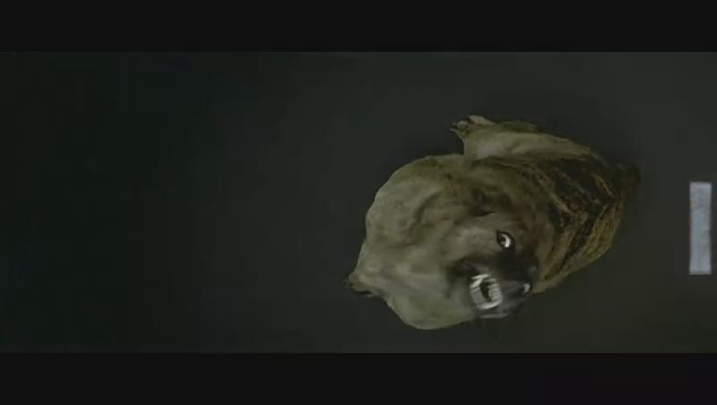 狗镇dogville(2003)