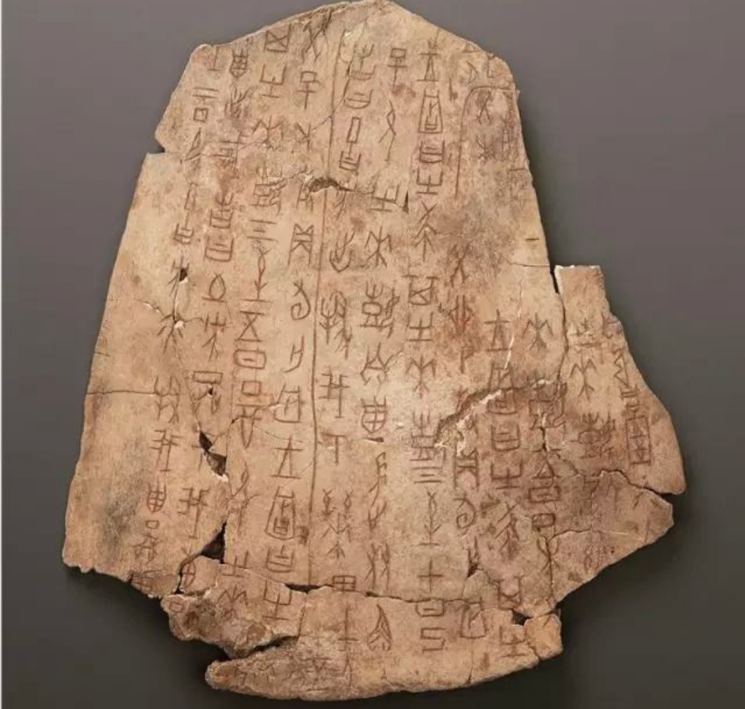 新石器时代的“忍者神龟”：这些出土的龟甲有何特异功能？_百科TA说