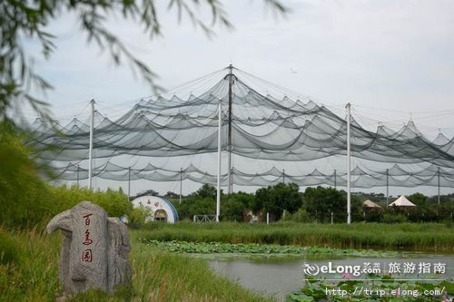 百鸟园