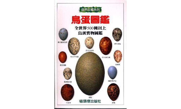 鸟蛋图鉴