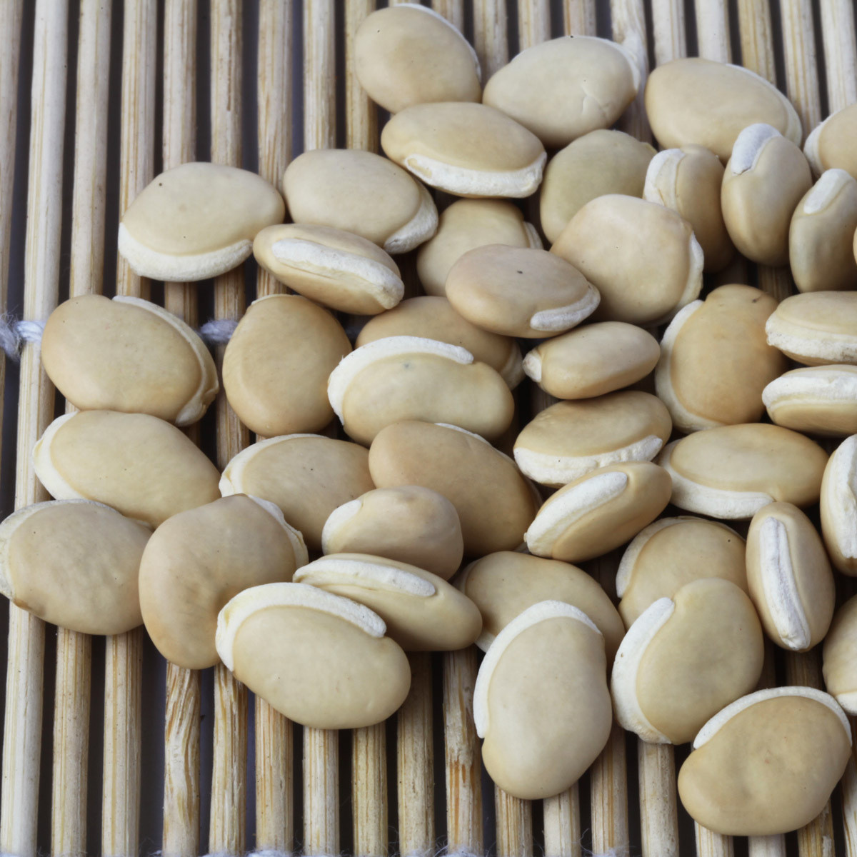 白扁豆花