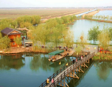 界首镇高邮湖芦苇荡湿地公园