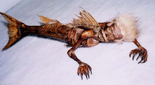 ">美人鱼又称人鱼,鲛人(中国古名),是一种长着人身鱼尾的神秘水生动物