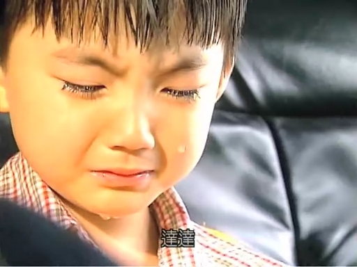  p>《海豚湾恋人》是2003年由 a target="_blank" href="/item/华视