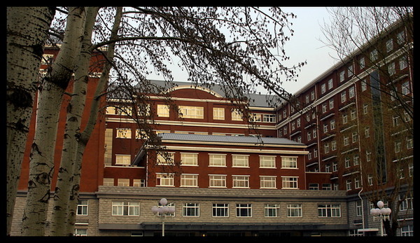 对外经济贸易大学国际商学院