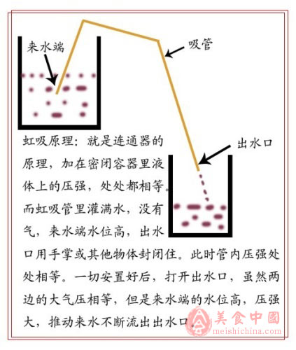 干红萄葡酒