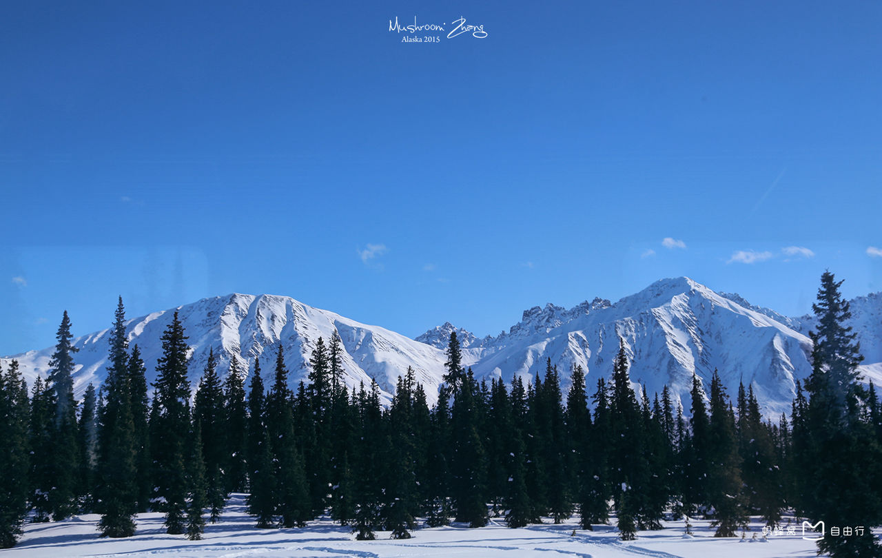  p>麦金利山位于美国 a target="_blank" href="/item/阿拉斯加州">