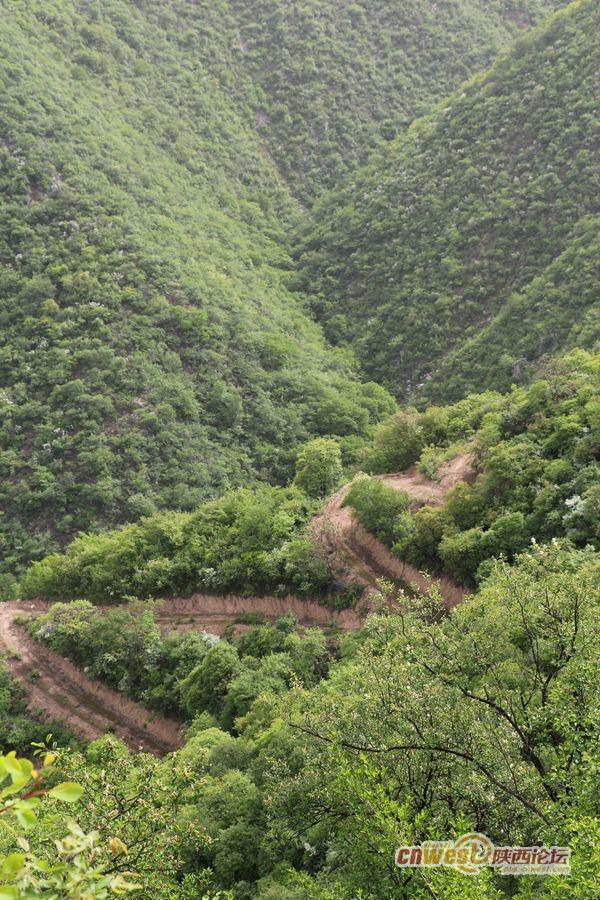 嵯峨山森林公园
