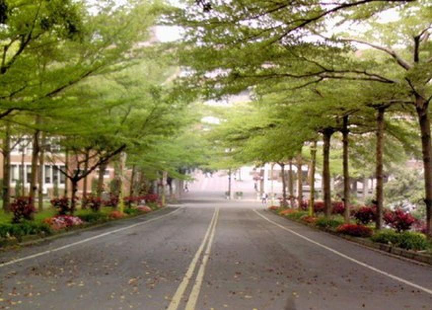  p> a href="#" data-lemmaid="10587595">大叶大学 /a>位于中国台湾