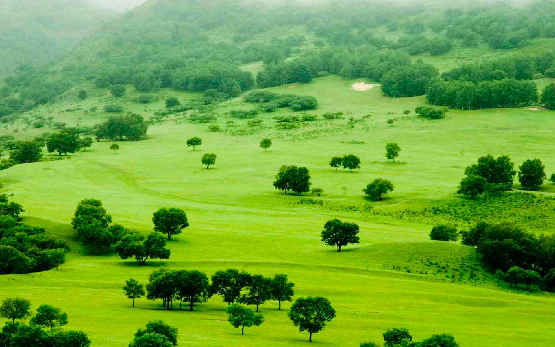 坝上草原木兰围场