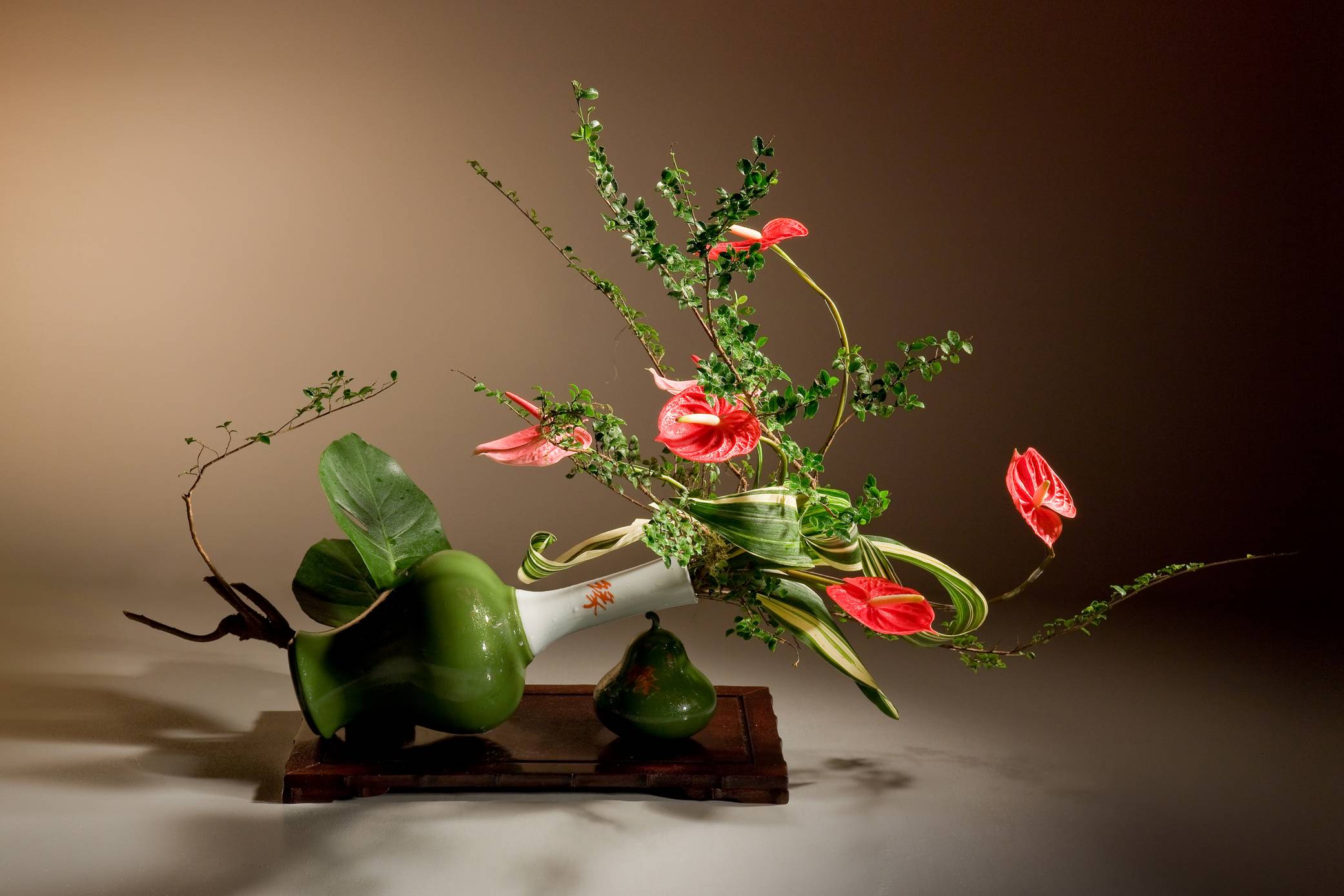 embelia laeta (l.) mez