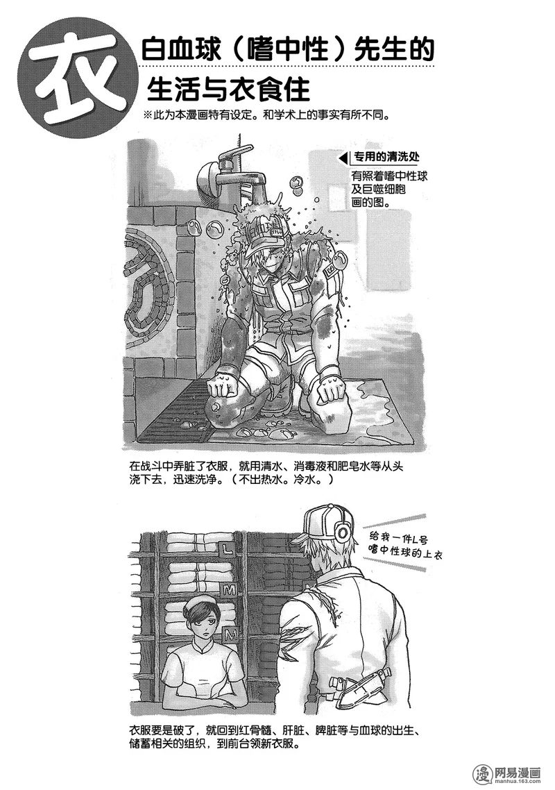 白细胞