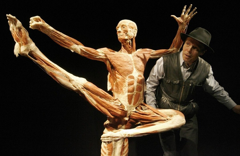 冯·哈根斯生物塑化(大连)有限公司