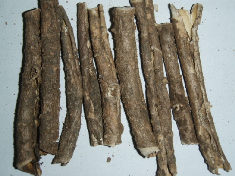  p>楤木根,为五加科植物 a href="#">楤木 /a>的根或根皮,有药用价值.